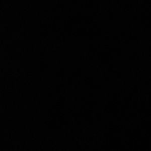 Meet your Posher, Kasey